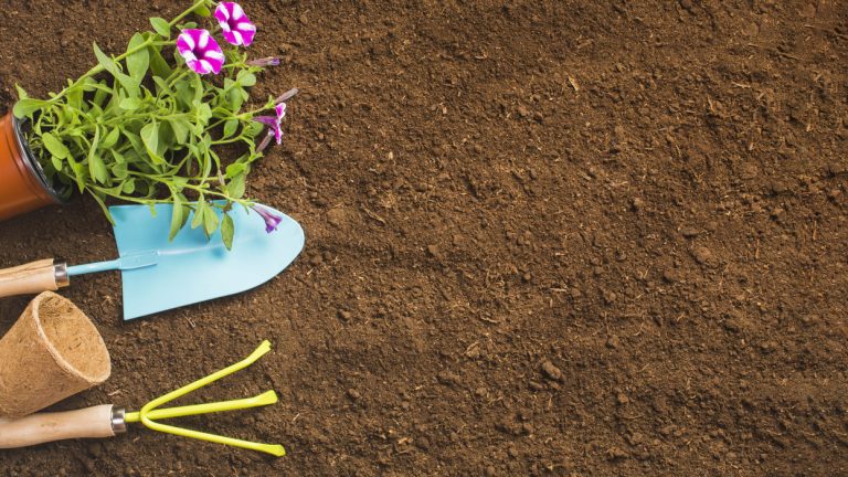 Your Guide to Sandy Loam Garden Soil Supplies Around You