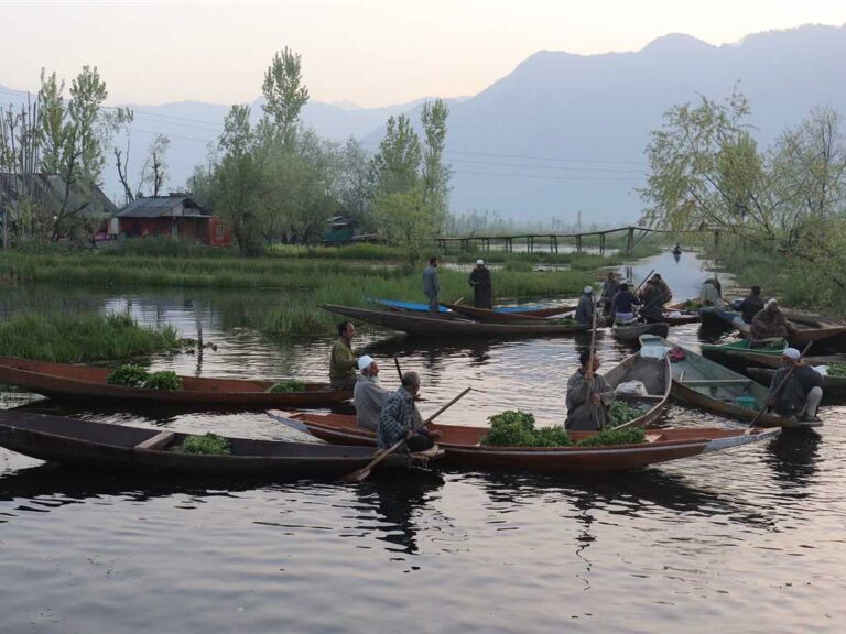A Unique Guide To Shikara Rides In Dal Lake Srinagar