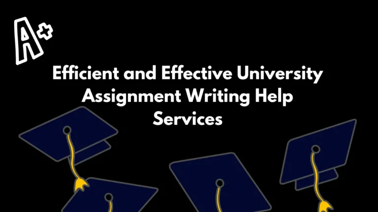 Efficient and Effective University Assignment Writing Help Services