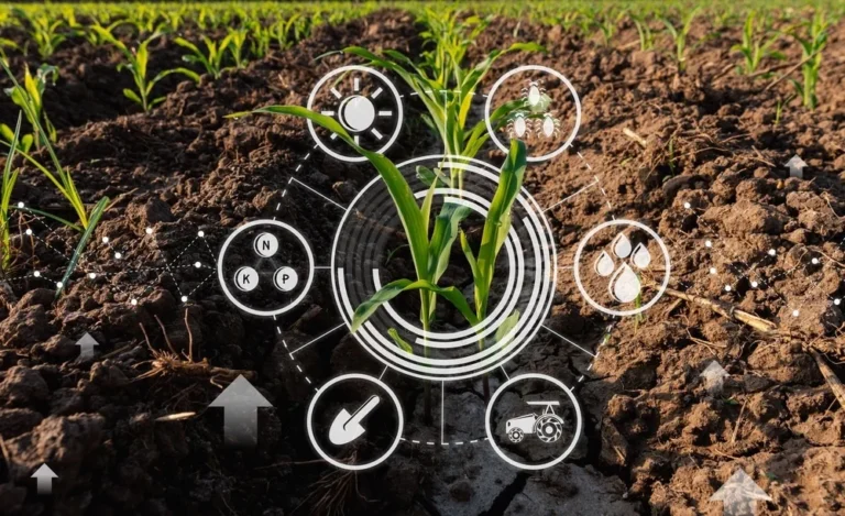 The Future of Agriculture Emerging Trends and Opportunities