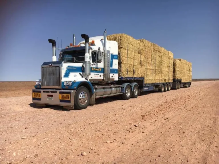 All You Need to Know About Freight Transport Services