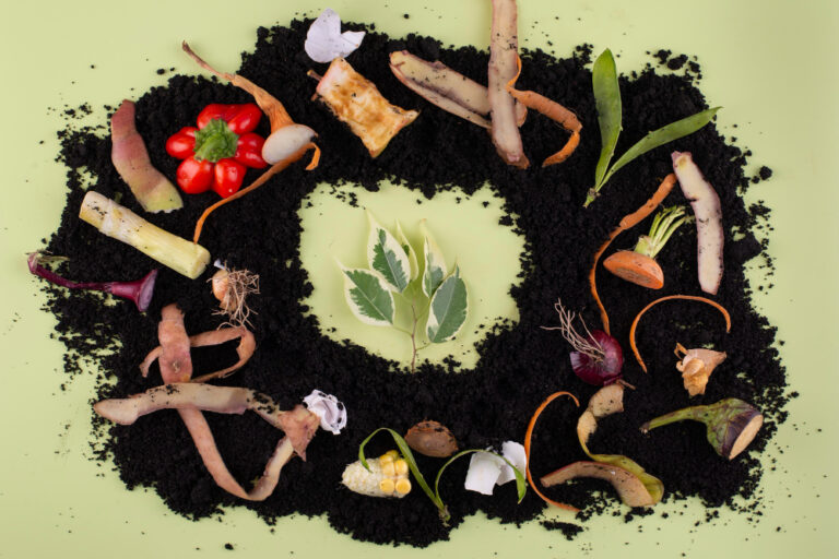 organic compost