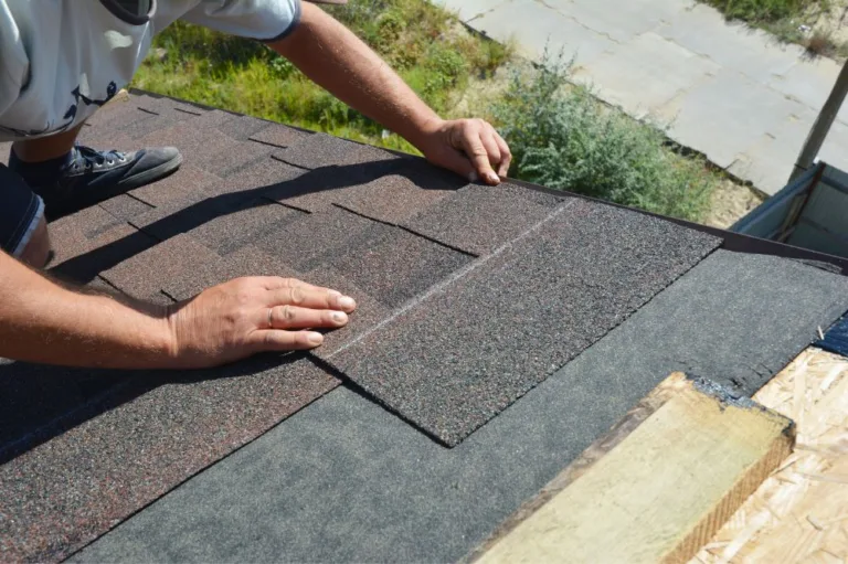 Eco-Friendly Options for Next Roof Replacement Project