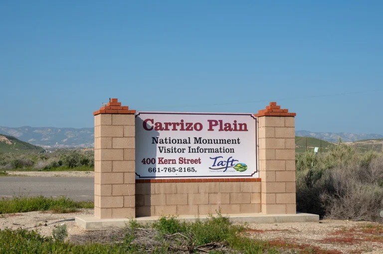 Choosing the Right Exterior Signage Company for Your Business Needs