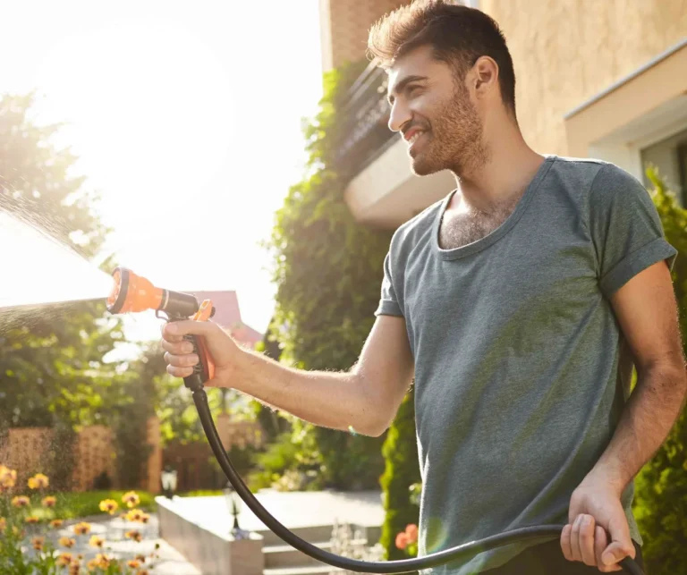 Dirt-Free Promise: The Influence of Expert Pressure Cleaning