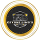 Limousine Service for Weddings, Airport Transfers, VIP Nights, and Special Events